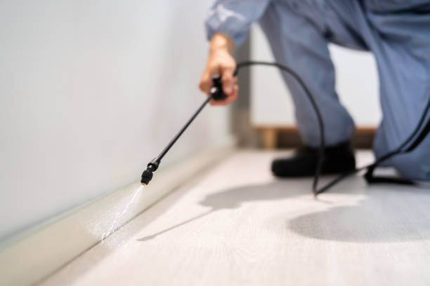 Rodent Entry Point Assessment in Ives Estates