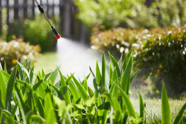Tamper-Resistant Bait Stations for Rodents in Ives Estates