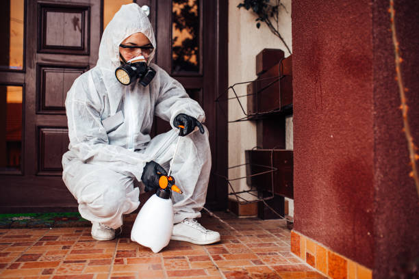Attic and Crawl Space Rodent Treatment in Ives Estates